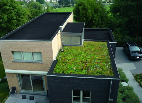 Maison avec de l' EPDM et toiture verte
